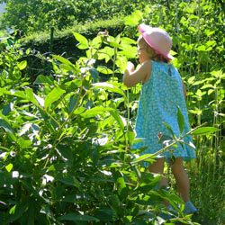 gardeningwithchild1