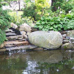landscapingpond1