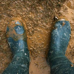 Two feet wearing rain boots standing in the mud