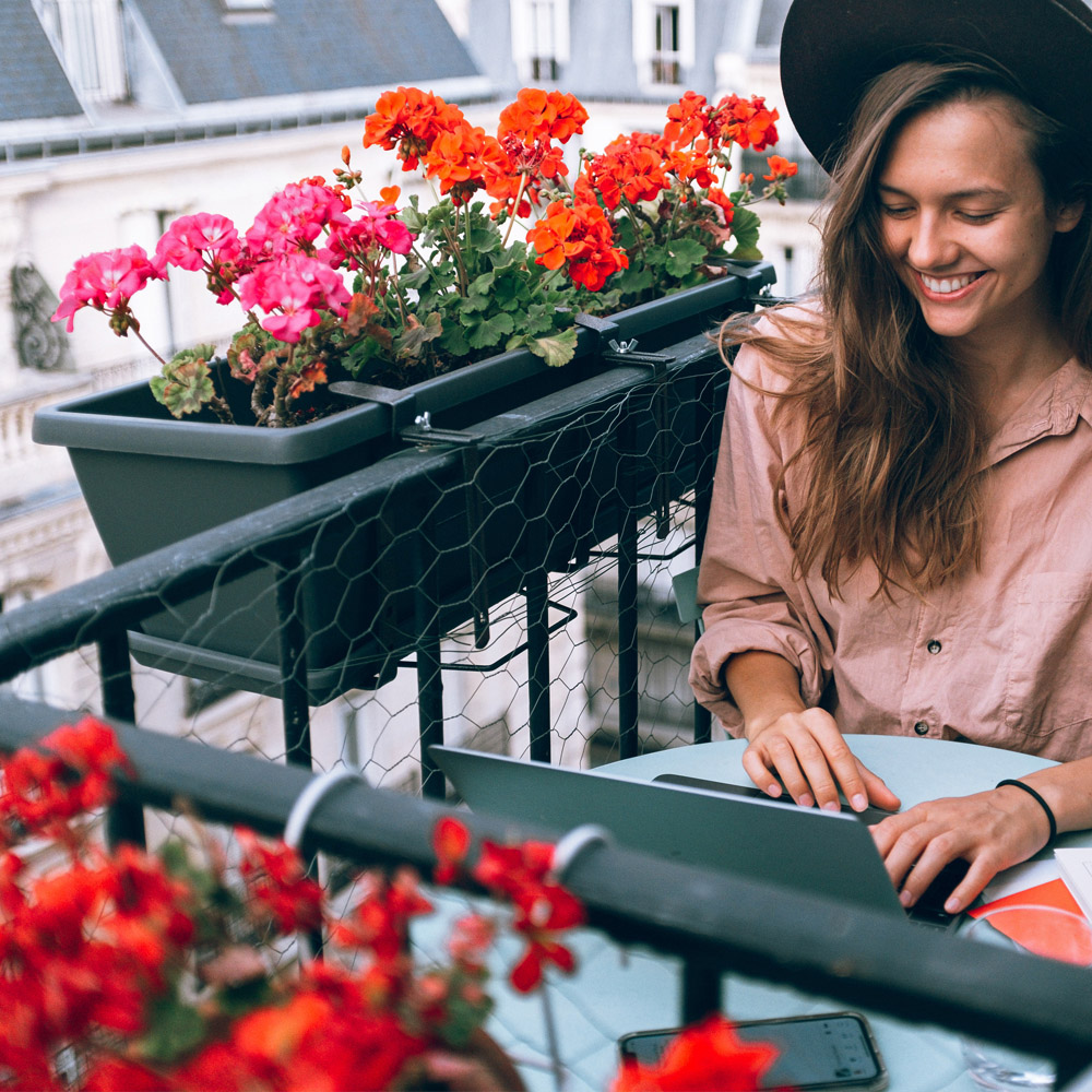 How to Care for Your Windowboxes